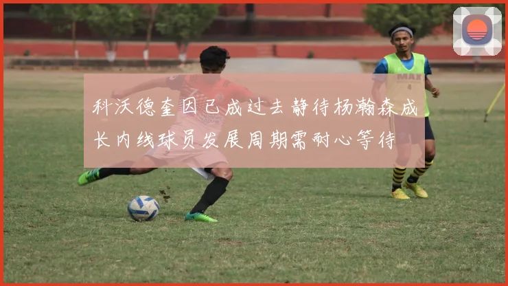 科沃德奎因已成过去静待杨瀚森成长内线球员发展周期需耐心等待