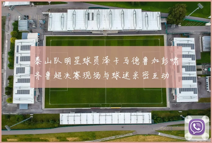 泰山队明星球员泽卡马德鲁加彭啸齐鲁超决赛现场与球迷亲密互动