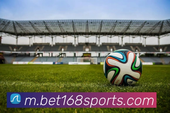 168体育平台生态图